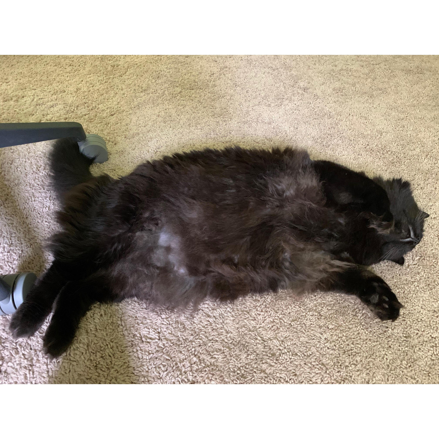 Our potato <3 (aka Mikey)