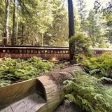 Mendocino County