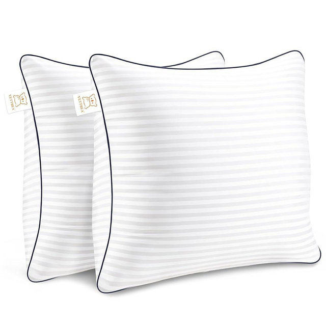 Yettbea Throw Pillows Insert, 20'' x 20'' Set of 2, Decorative for Couch, Sofa or Bed with Premium Down Alternative Filled, White