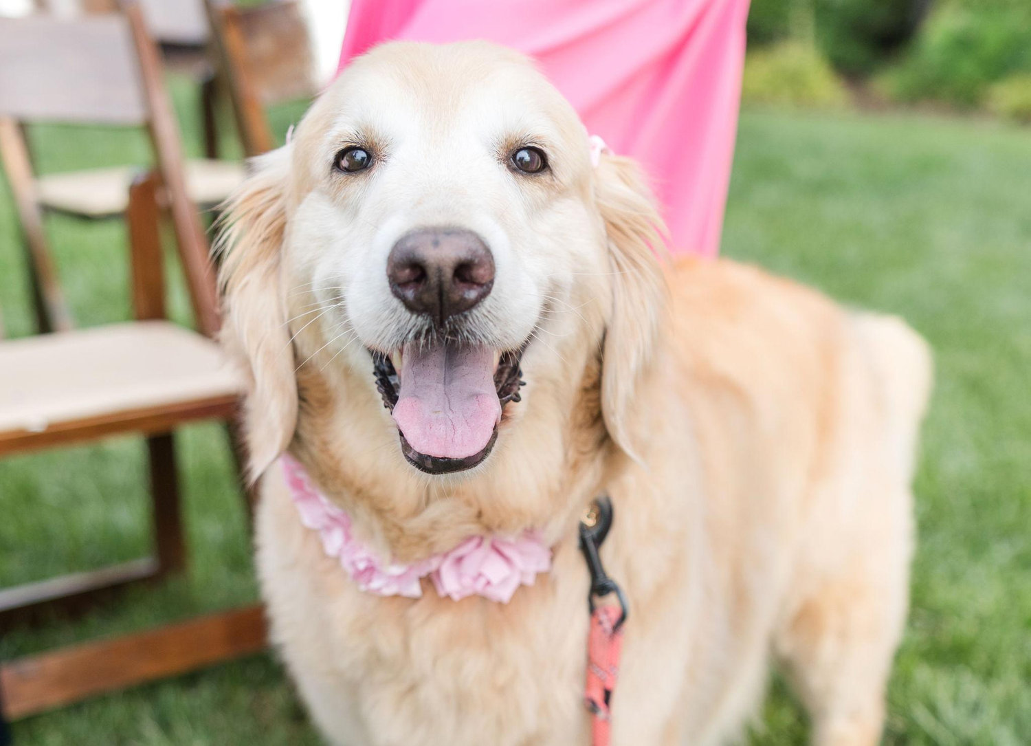 The Wedding Website of Keri Tiernan and Eddie Tiernan