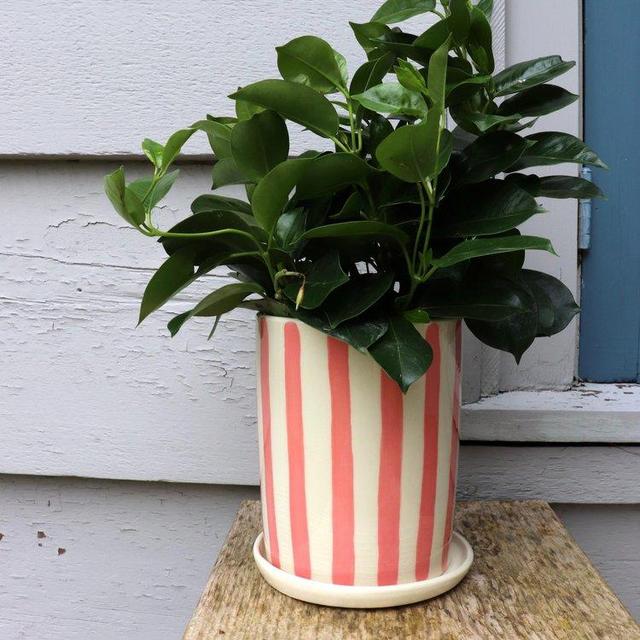 Pink Stripes Planter