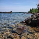 Michigan.org