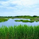 Back Bay National Wildlife Refuge