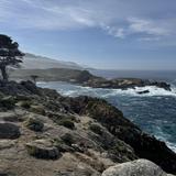 Garrapata State Park