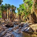 Indian Canyons