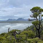 Surfing -Cox Bay Beach