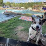 Whitewater Center