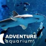 Adventure Aquarium