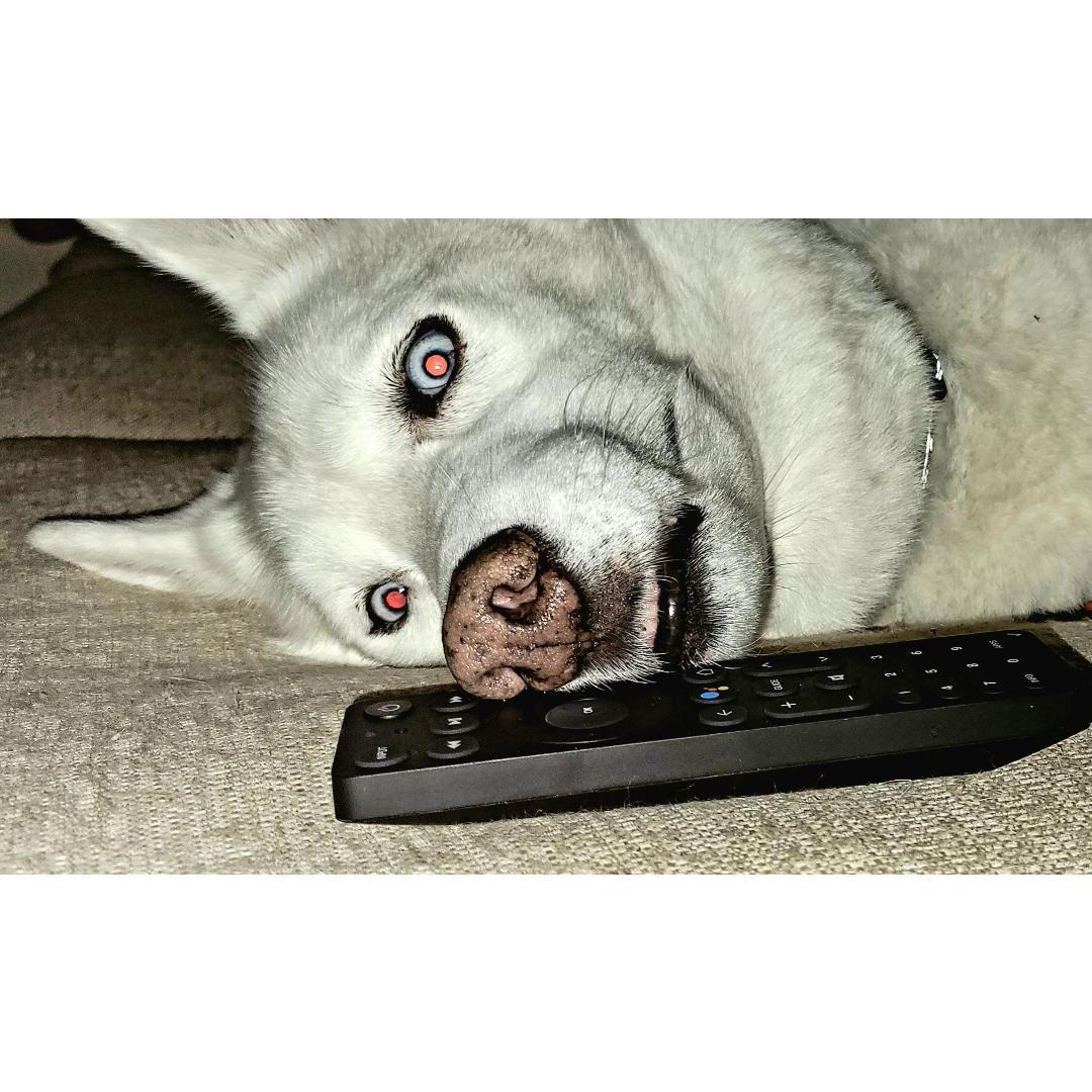 He was bored.