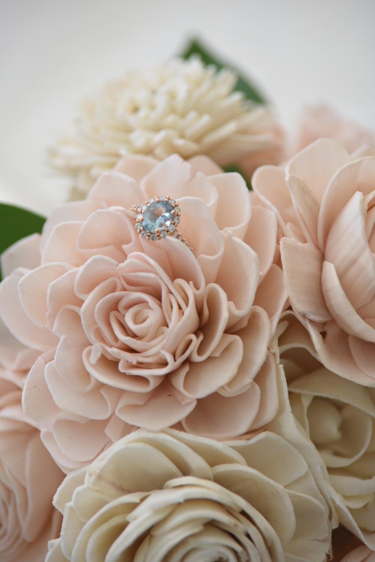 The Wedding Website of Sam Carroll and Will Curley