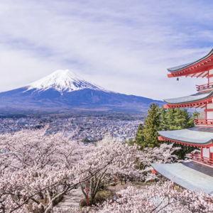 Excursion to Mt. Fuji