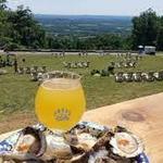 Bear Chase Brewing Company