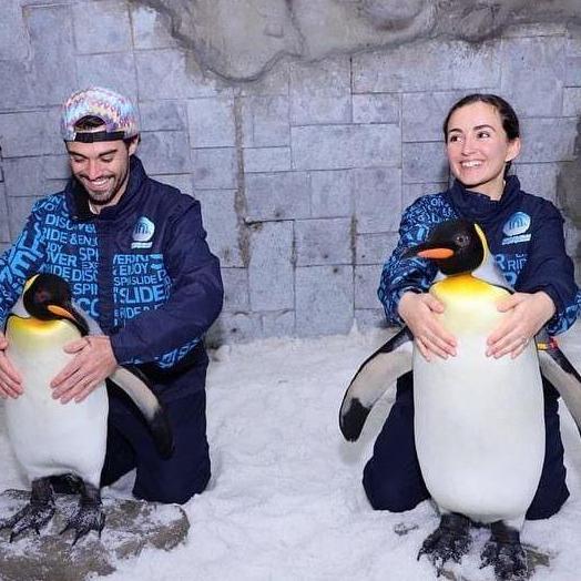 Petting penguins at the indoor ski resort in Dubai