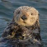 Seattle Aquarium