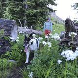 Go for a hike: Lick Creek, Ponderosa State Park, Boulder Lake Road