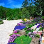 Betty Ford Alpine Gardens