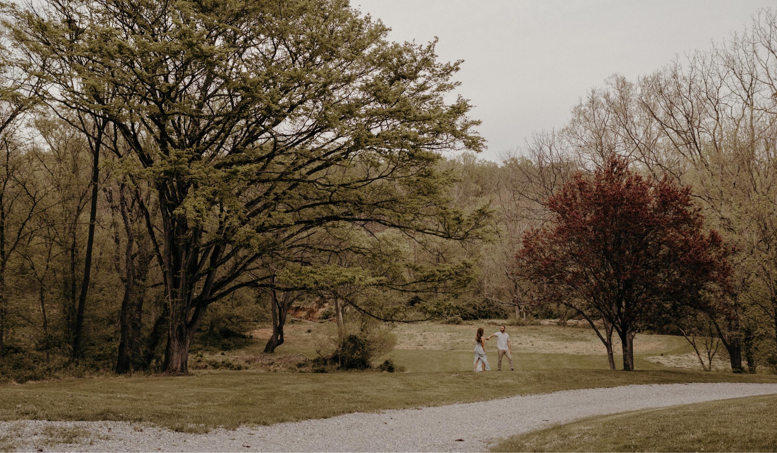 The Wedding Website of David Hamou and Mollyann Hart
