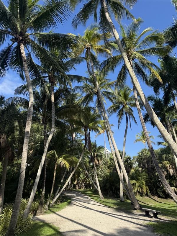 The Wedding Website of Matthew Plunkett and Ashley Askew