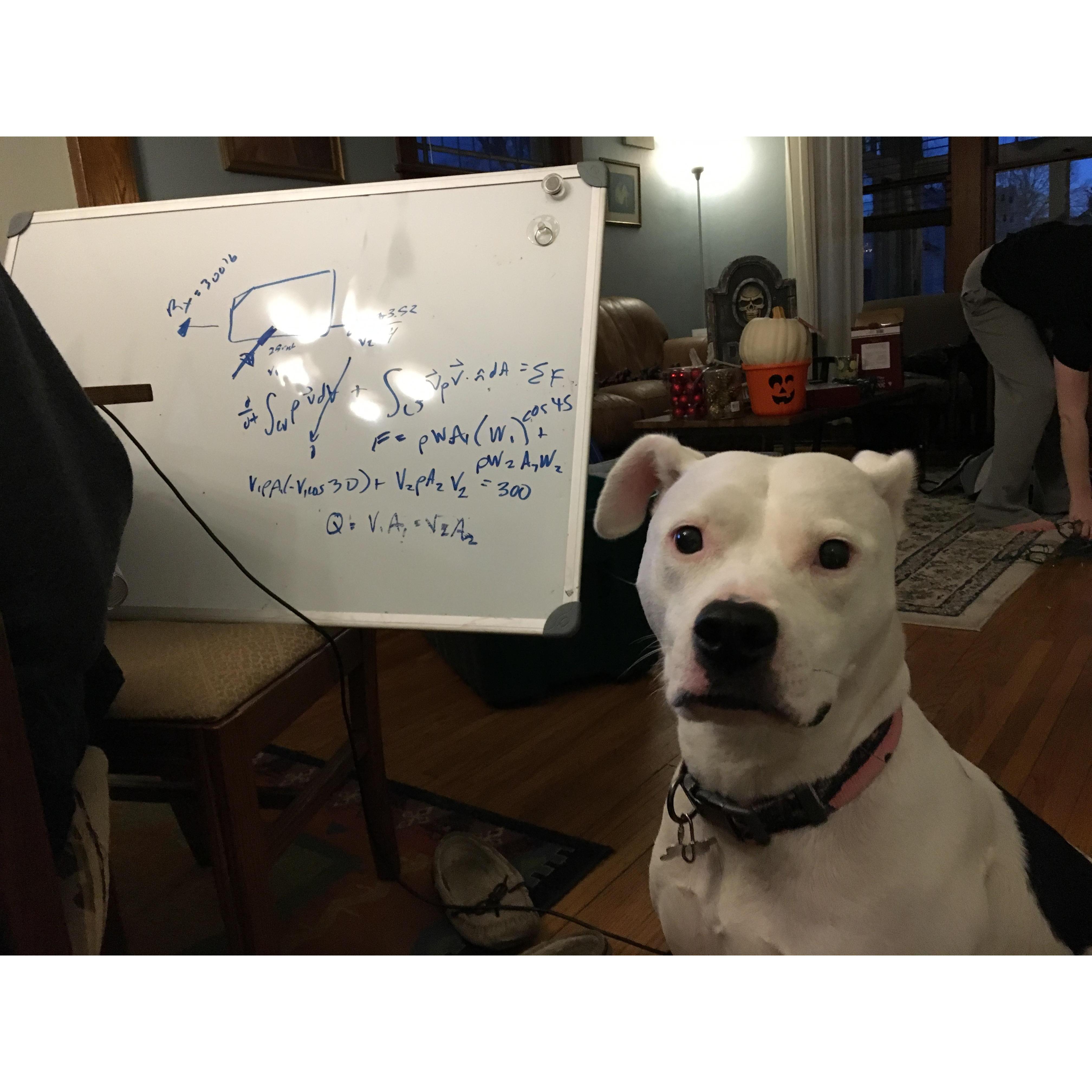 Professor Luna, helping John work out this complicated fluids dynamics problem. Sometimes you just have to get a second opinion.