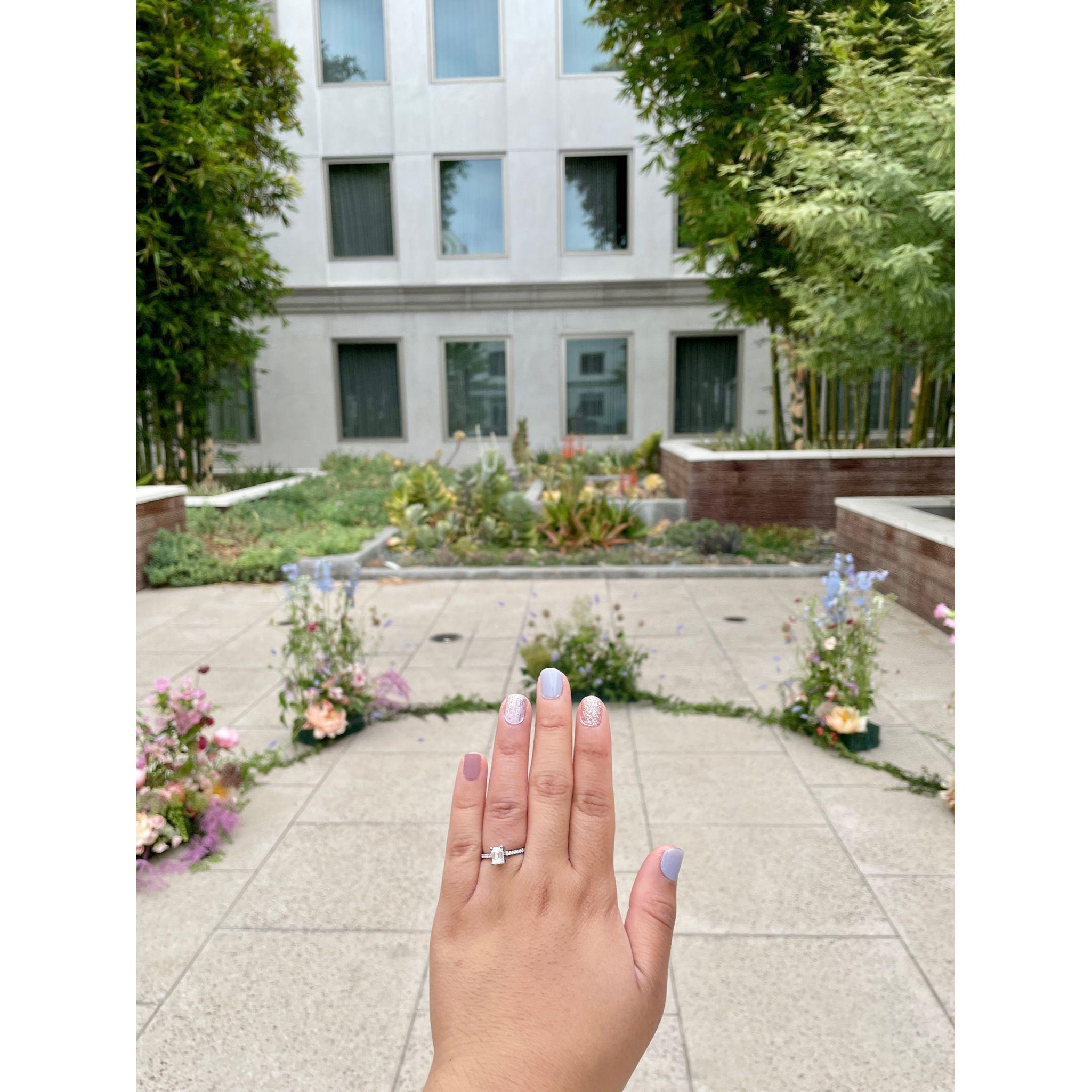 the ring and the view