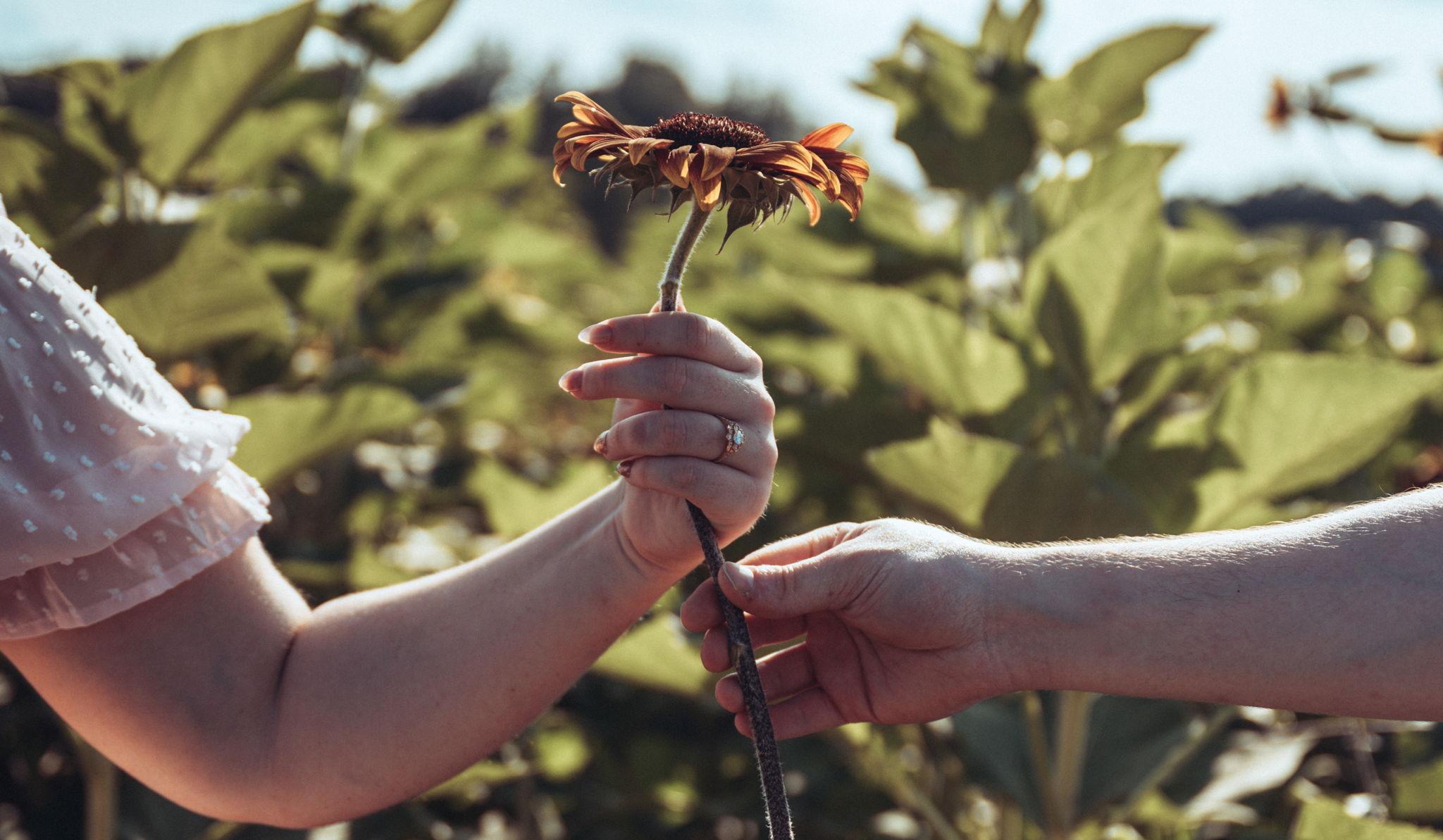 Hero Slideshow Image 1