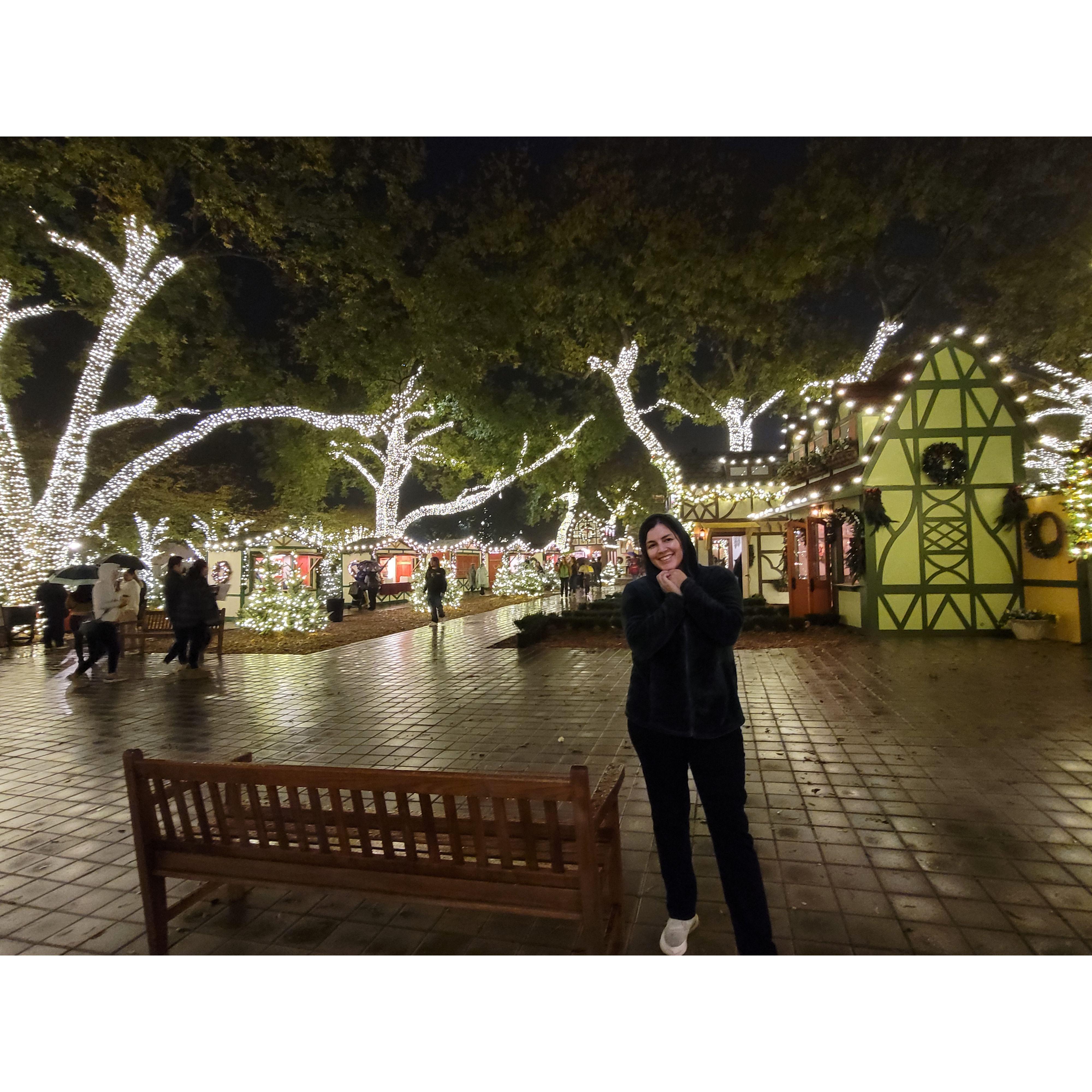 Christmas Lights