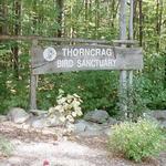 Thorncrag Bird Sanctuary