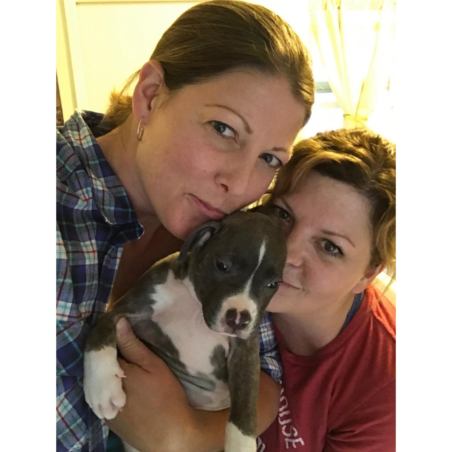 Our new edition when she was just 8 weeks old - Dory Squish Pascoe Loomer!