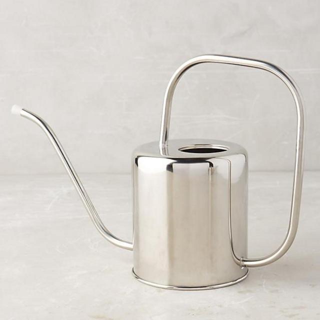 Polished Watering Can (medium)