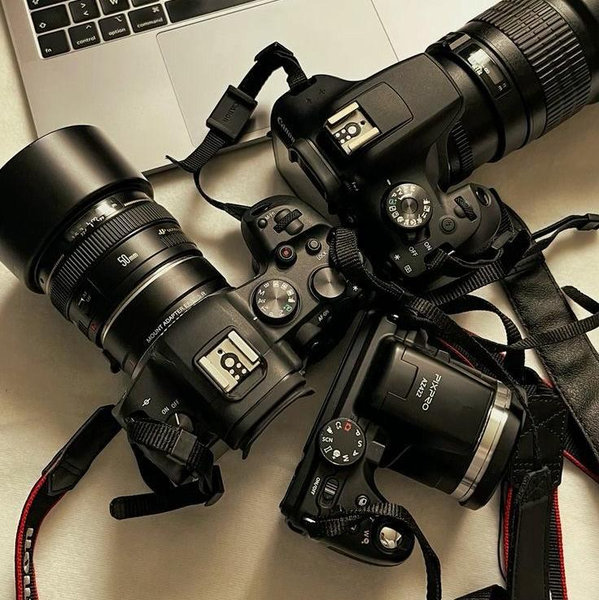 Photographer/Videographer