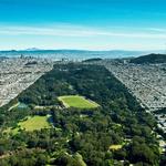 Golden Gate Park