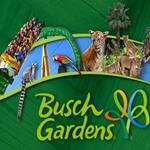 Busch Gardens Tampa Bay