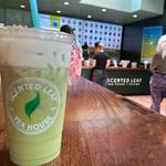 Scented Leaf Tea House