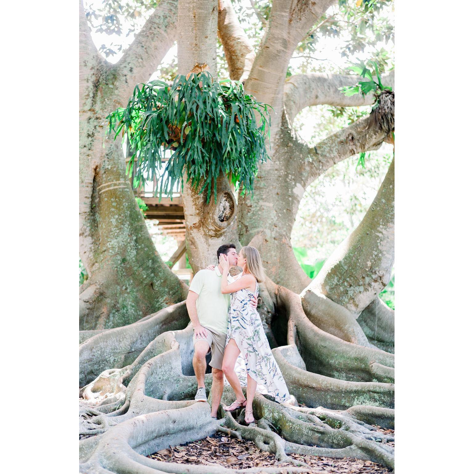Engagement Shoot - Marie Selby Botanical Gardens - Photo Credit: Ashlee Nicole Photography