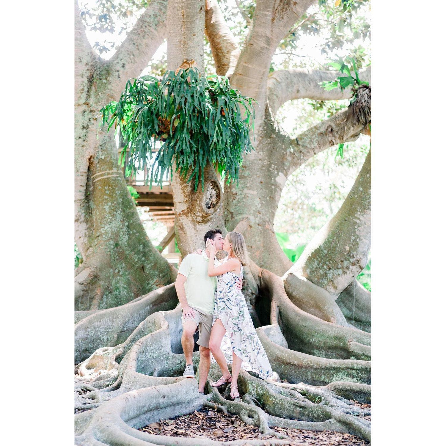 Engagement Shoot - Marie Selby Botanical Gardens - Photo Credit: Ashlee Nicole Photography