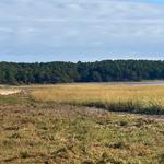 Mass Audubon Wellfleet Bay Wildlife Sanctuary