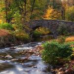 Rockefeller State Park Preserve