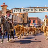 Stockyards Boulevard