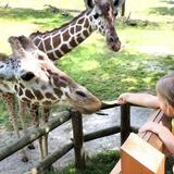 Blank Park Zoo