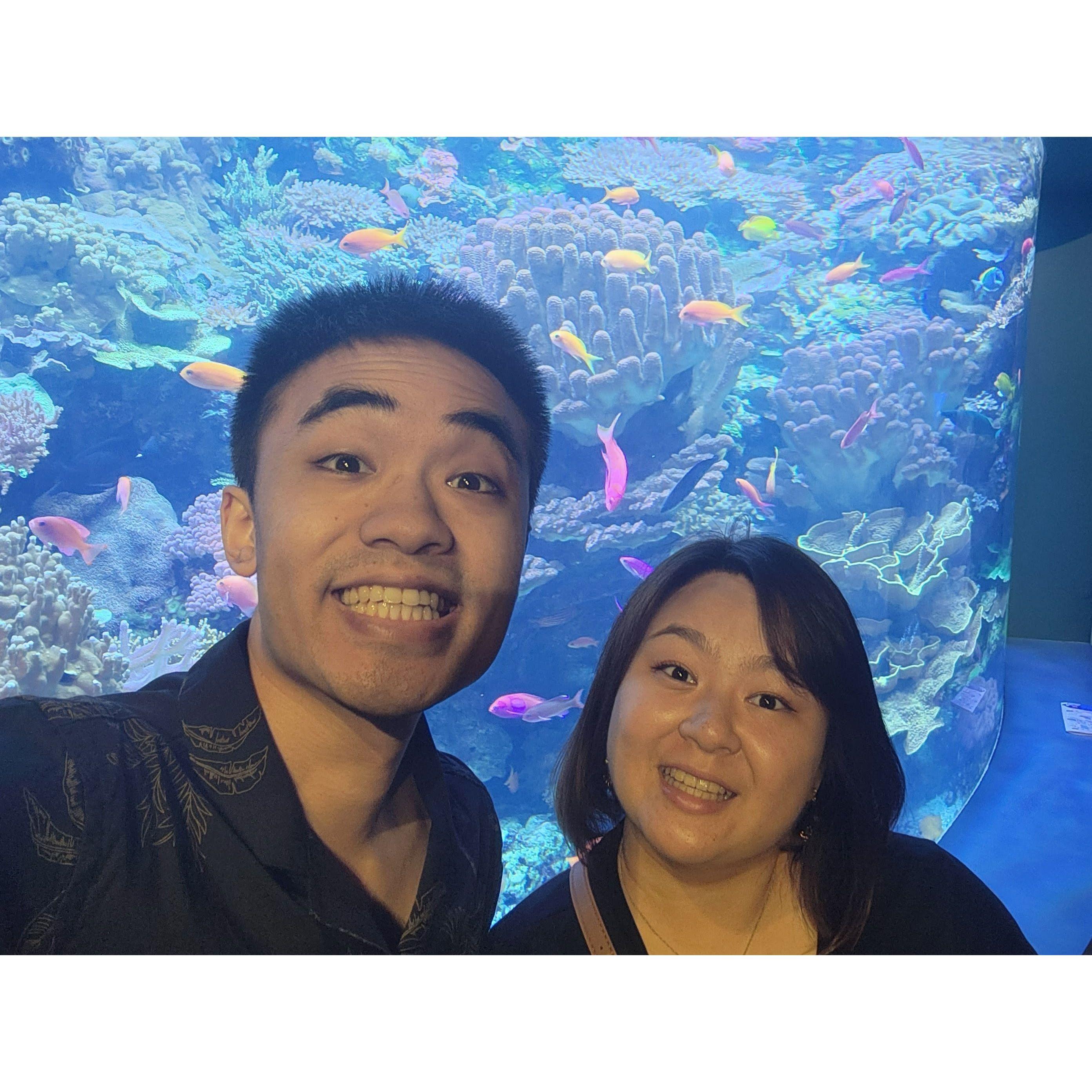 Aquarium of the Pacific