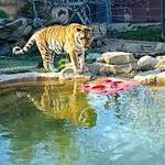Philadelphia Zoo