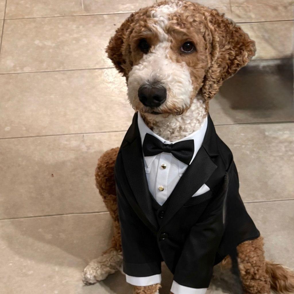 Bringing timeless elegance to the party!
