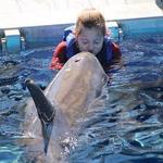 Gulfarium Marine Adventure Park
