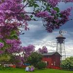 Lilac Gardens-Hulda Klager