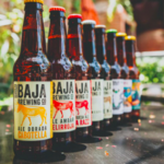 Baja Brewing Company
