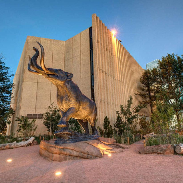 Denver Nature & Science Museum Membership