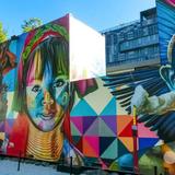 Wynwood Walls