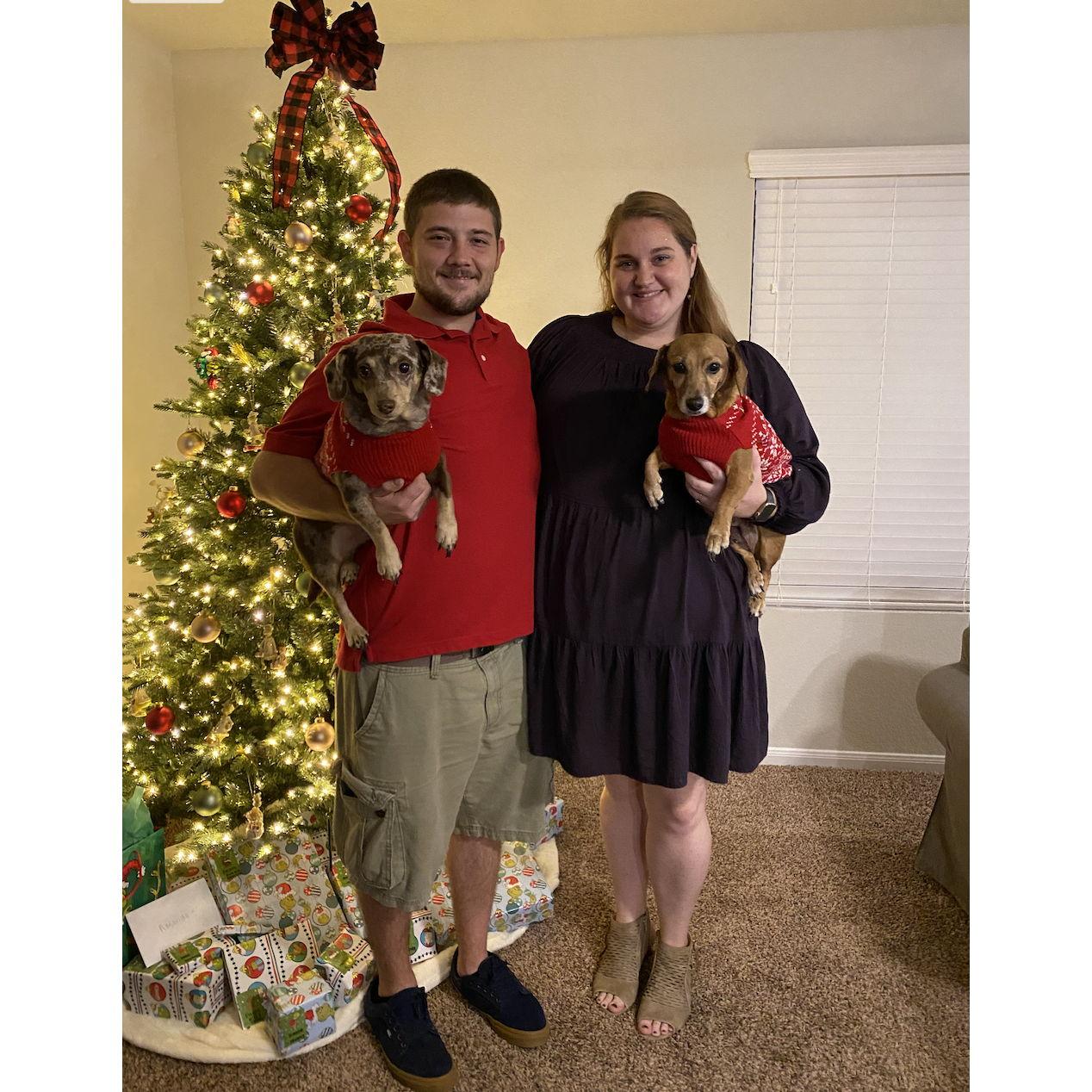 Our sweet babies