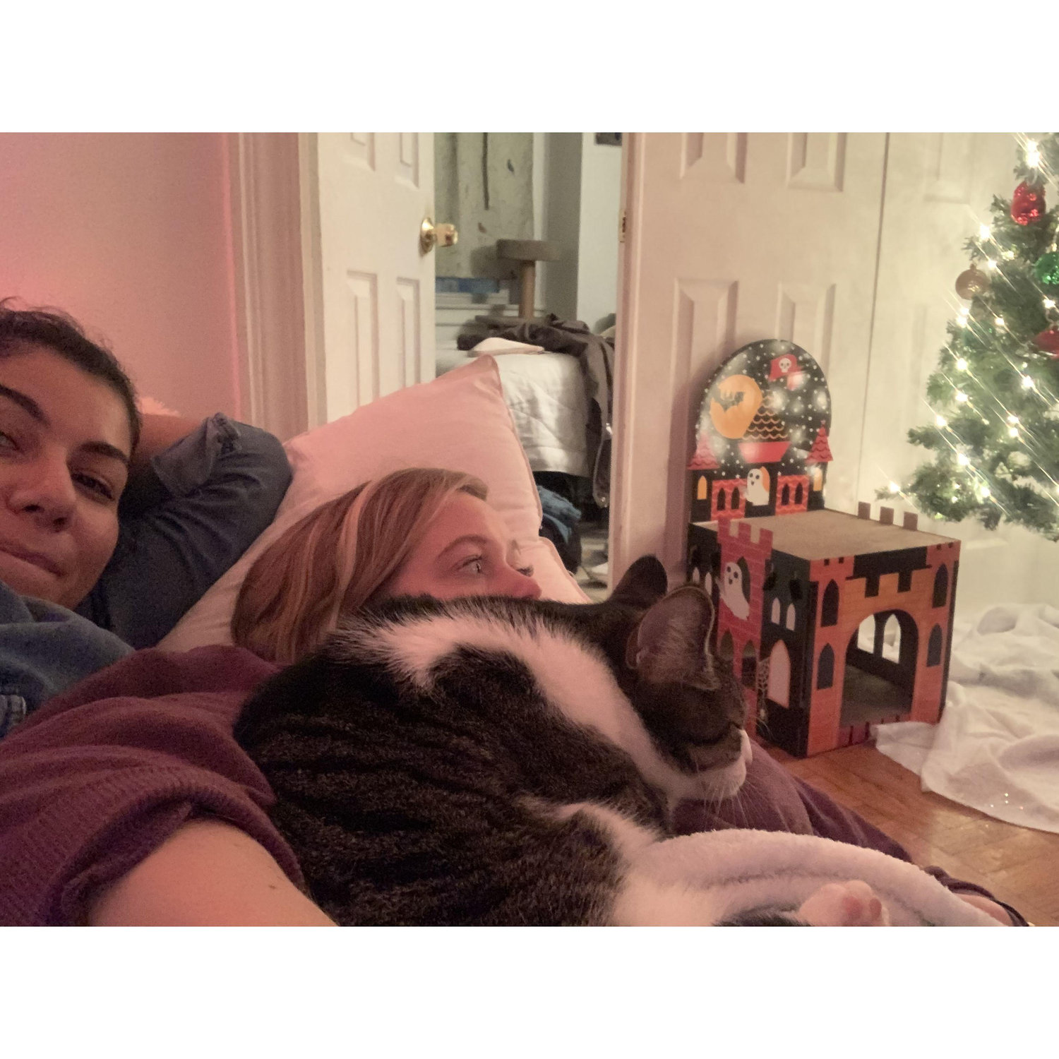 Many cozy nights with Simon, while he was still an only child.