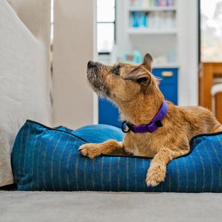 Manhattan Lounge Bed